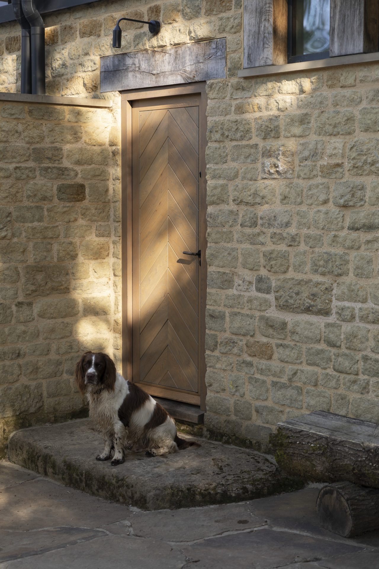 15 Contemp New Build Back Door Dog